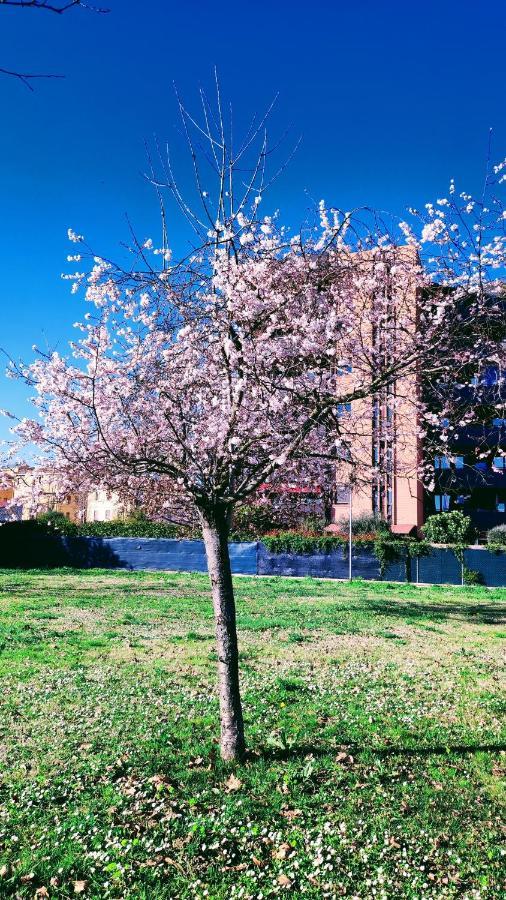 Bologna Vista Parco Apartment 2 Letti Matrimoniali المظهر الخارجي الصورة